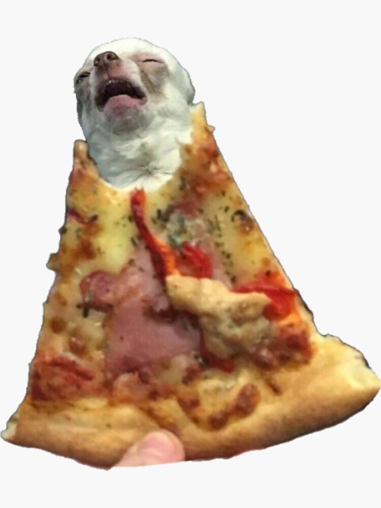 "funny pizza chihuahua sleeping meme" Sticker for Sale by pusla