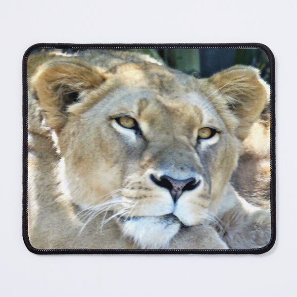 Item preview, Sleepy Lioness designed and sold by TavStone.