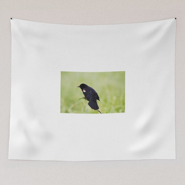Item preview, Blackbird on a Branch designed and sold by Alyce Taylor.