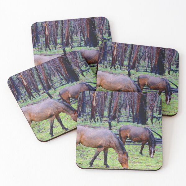 Item preview, Duo of Brumbies  designed and sold by D-GaP.