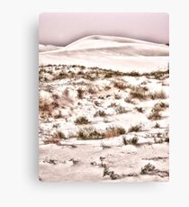 Scrub Brush Canvas Print