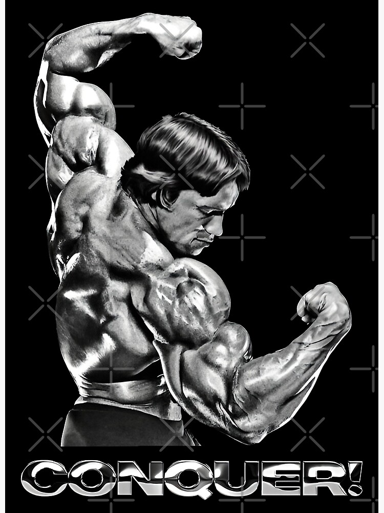 Póster de Arnold Schwarzenegger 28 x 43 cm : : Hogar