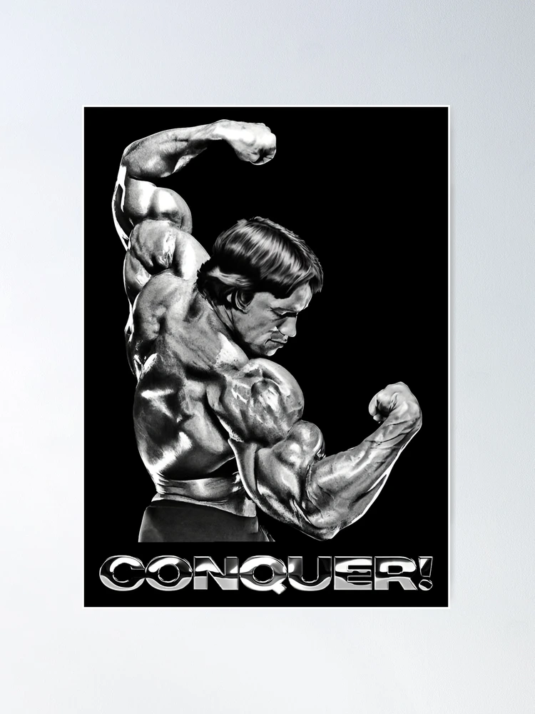Póster de Arnold Schwarzenegger 28 x 43 cm : : Hogar