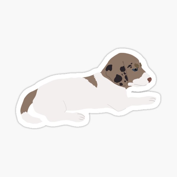 "Minimalist dachshund, simple cute dachshund " Sticker for Sale by