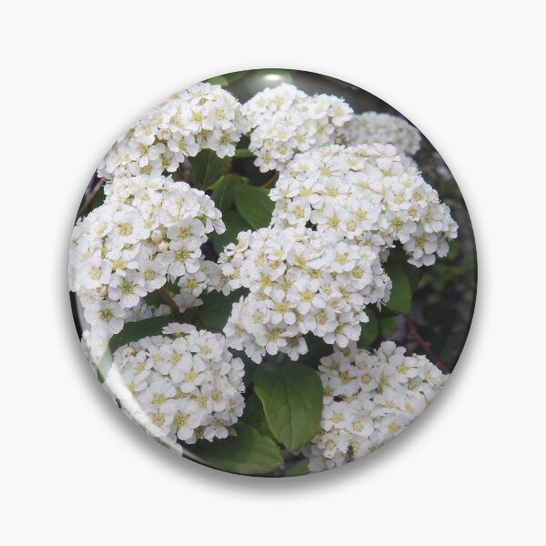 Item preview, Branch of Spirea designed and sold by Kathleen Brant.