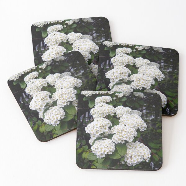 Item preview, Branch of Spirea designed and sold by Kathleen Brant.