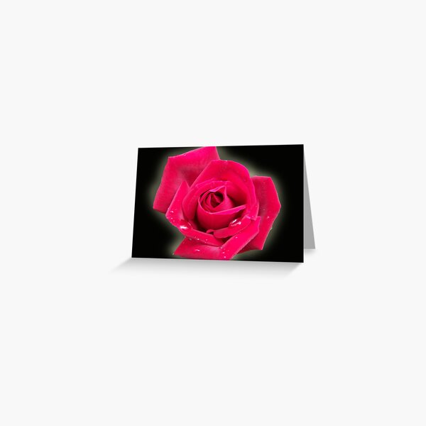 Misty Rose Greeting Card