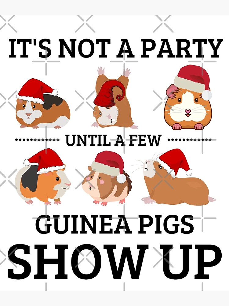 T-shirt Humoristique "Ce N'est Pas Une Fête Jusqu'à Ce Qu'un Wiener Sorte" - Teckel Fun, Coton, Unisexe