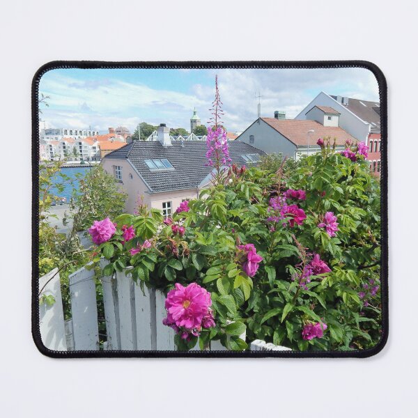 Artikelvorschau, Blumen mit Blick auf Stavanger Harbour entworfen und verkauft von Kathleen Brant.