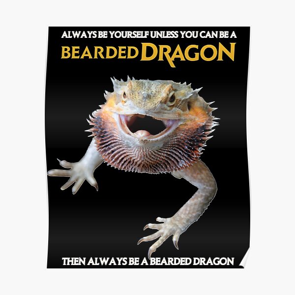Always Be A Bearded Dragon Poster