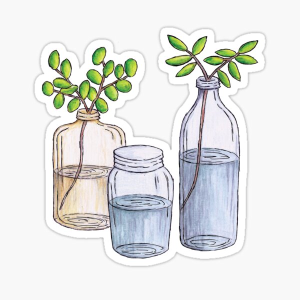 "Plants in Water Bottles" Sticker for Sale by ReneeEdmonston Redbubble