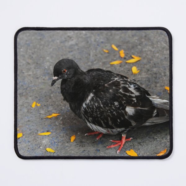 Item preview, Where Are the Bird Seeds? designed and sold by heatherfriedman.
