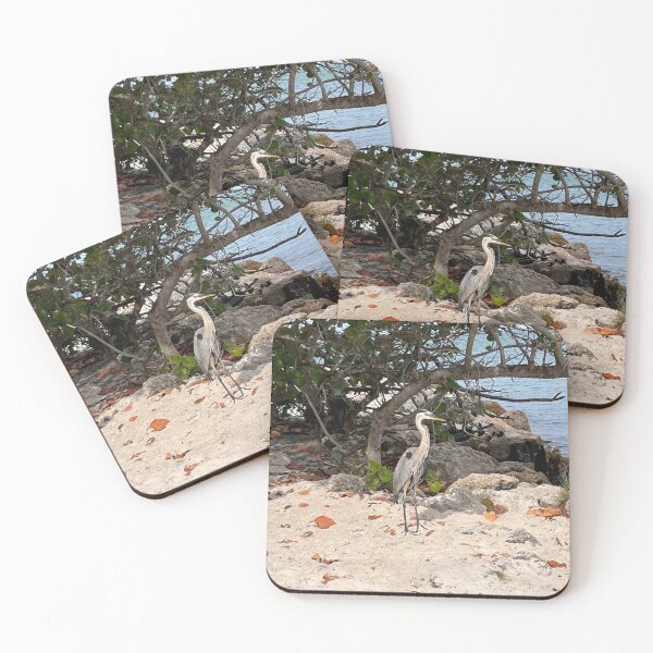 Item preview, FLORIDA BIRD SANDY designed and sold by BridgetBresser.