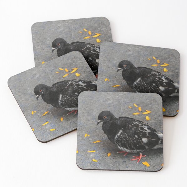 Item preview, Where Are the Bird Seeds? designed and sold by heatherfriedman.