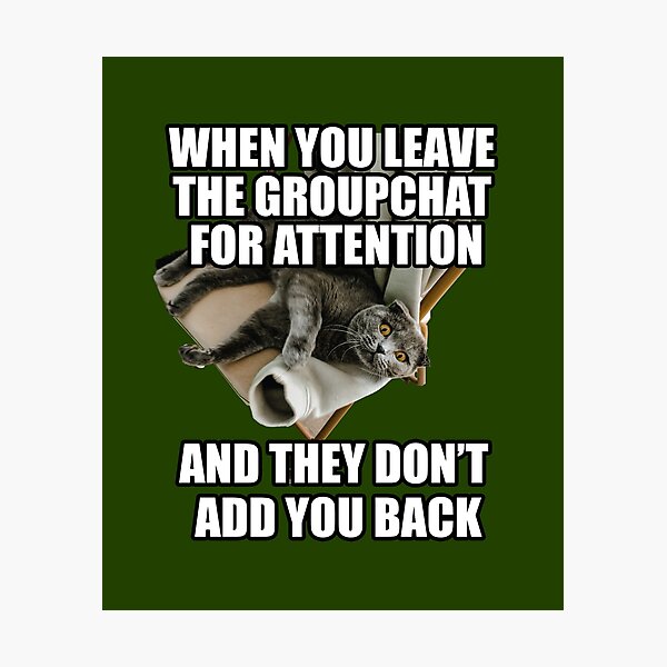 When You Leave The Group Chat For Attention Funny Cat Meme Pp,504x498 Pad,600x600,f8f8f8