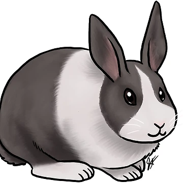 Artwork thumbnail, Dutch Rabbit by Jennifer Stolzer