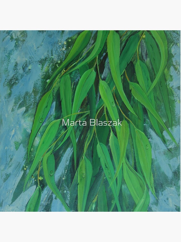 Fresh Eucalyptus by mbjust