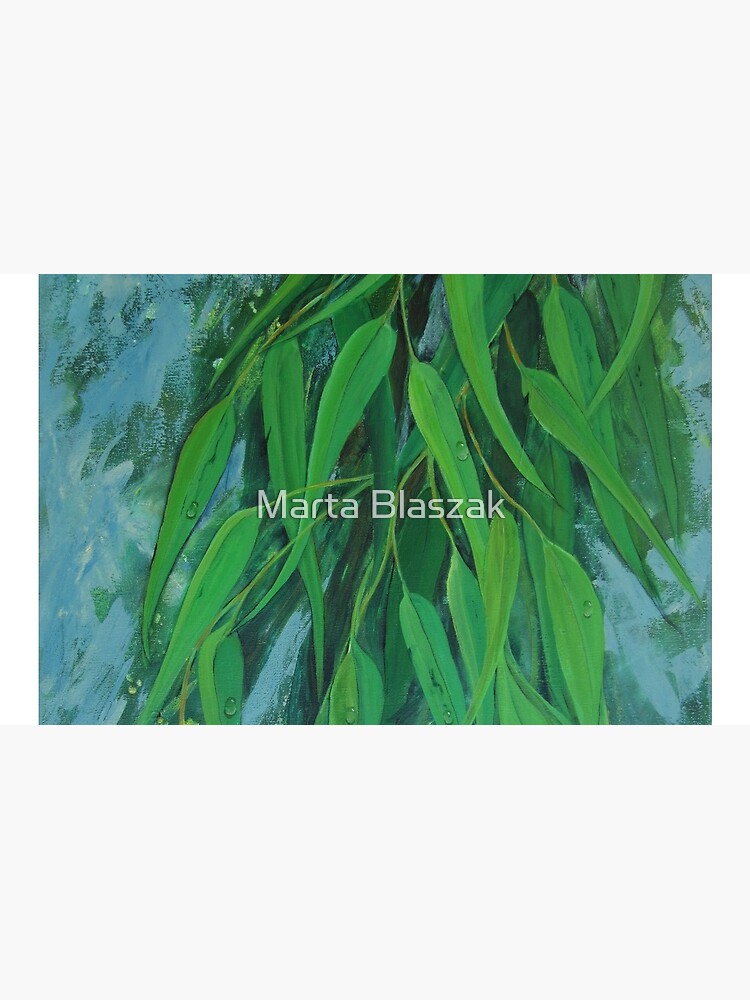 Fresh Eucalyptus by mbjust