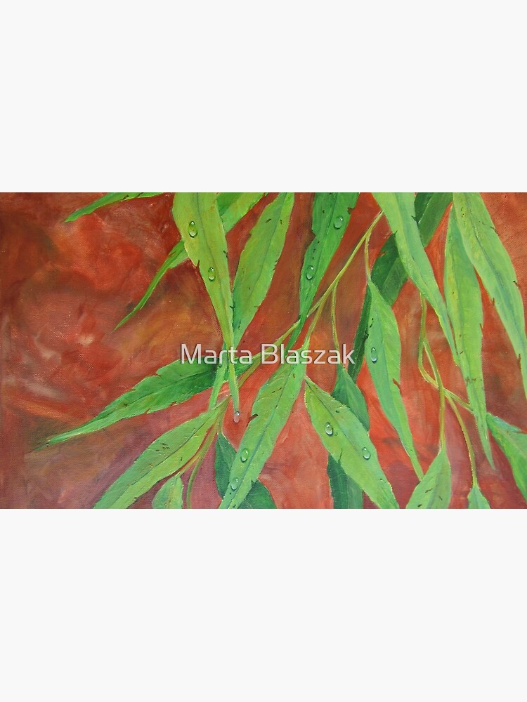 Eucalyptus Tears by mbjust
