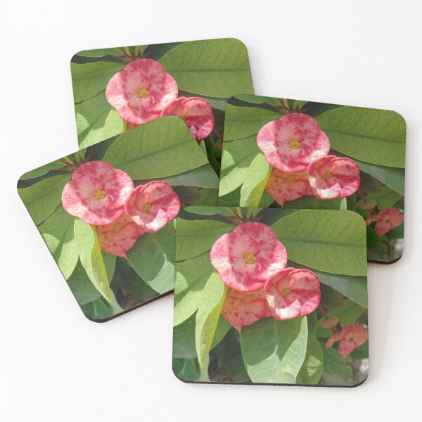 Item preview, euphorbia flower designed and sold by hutofdesigns.