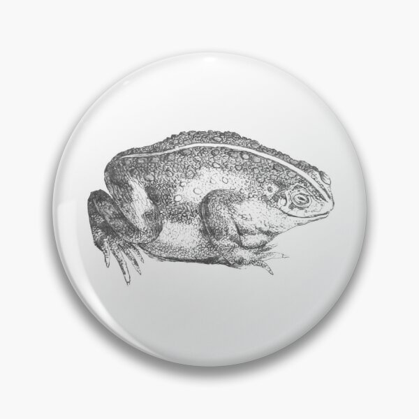 Antique Frog Pin