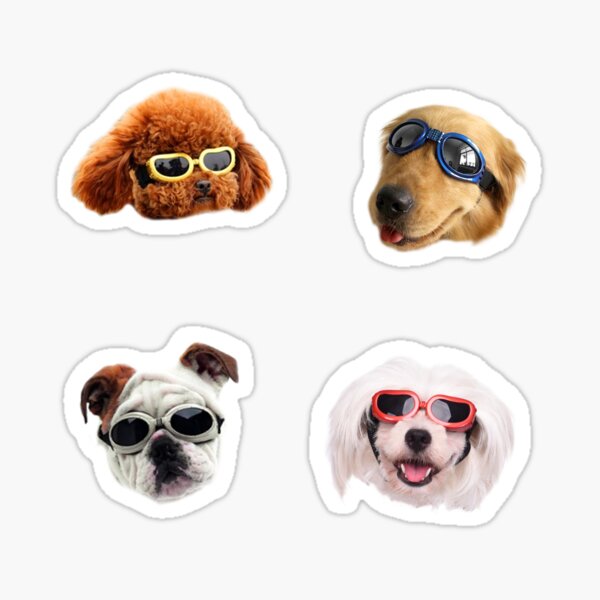 Doggo Stickers: Sunglasses #1 Sticker