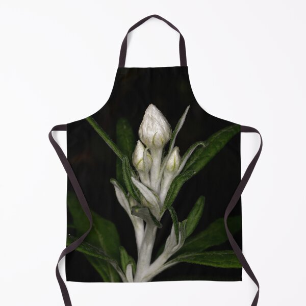 Item preview, Winter Flowers (15) [Eremophilia warnesii] designed and sold by Wolf Sverak Photography.