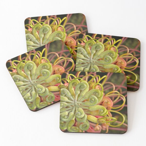 Item preview, Winter Flowers (10) designed and sold by Wolf Sverak Photography.