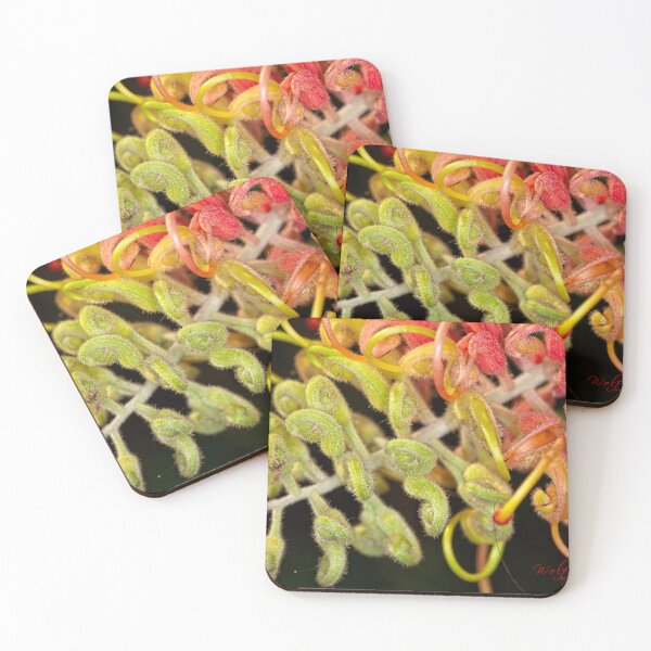 Item preview, Winter Flowers (4) designed and sold by Wolf Sverak Photography.