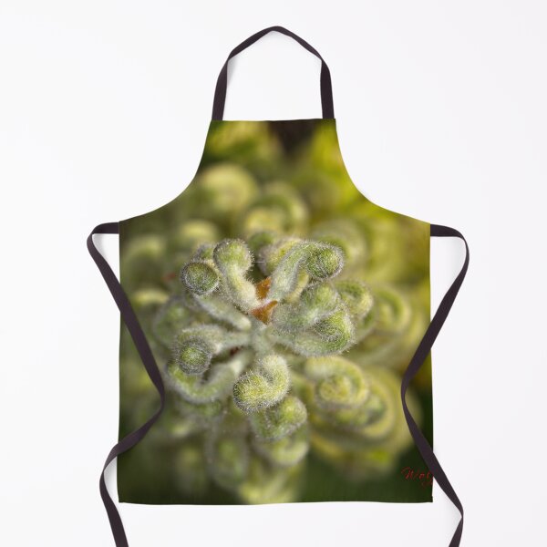 Item preview, Winter Flowers (3) designed and sold by Wolf Sverak Photography.