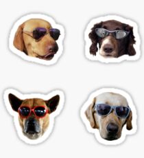 Doggo Stickers: Sunglasses #2 Sticker