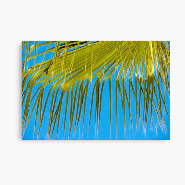 Item preview, Delicate Frond designed and sold by phil decocco.