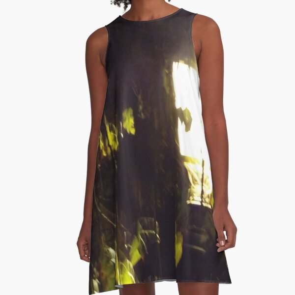 LIGHT IN THE PARK AT NIGHT PHOTOGRAPHY A-Line Dress