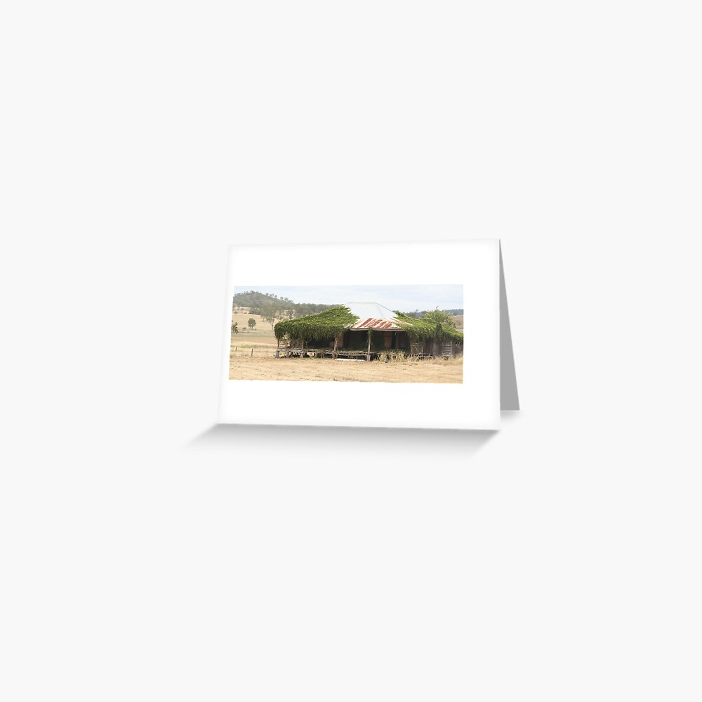 A Little TLC Needed Greeting Card