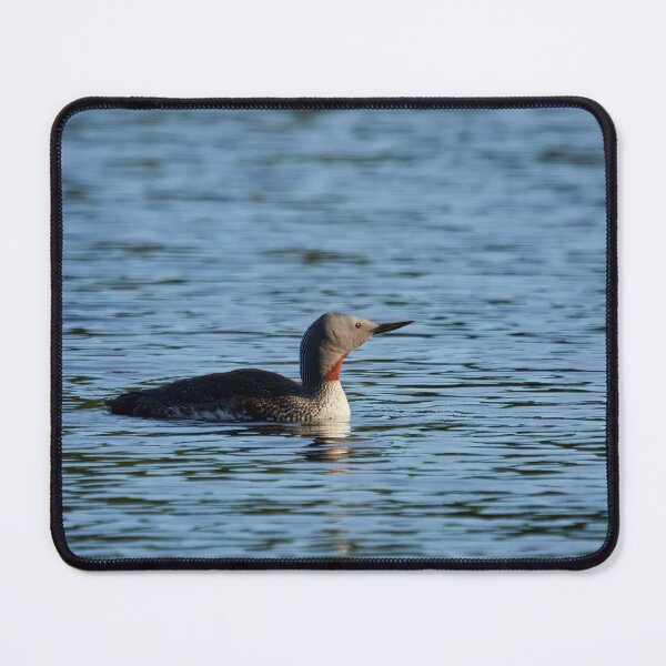 Item preview, Red-throated loon on the blue water designed and sold by Jouko Lehto Photography.