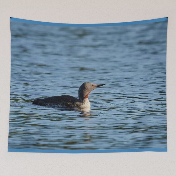Item preview, Red-throated loon on the blue water designed and sold by Jouko Lehto Photography.