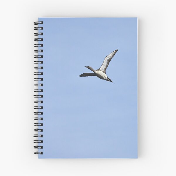 Item preview, Red-throated loon high designed and sold by Jouko Lehto Photography.