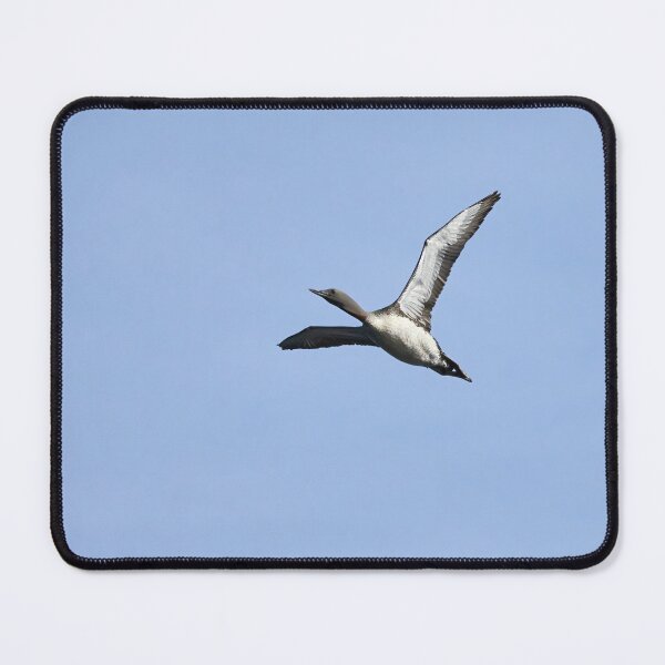 Item preview, Red-throated loon high designed and sold by Jouko Lehto Photography.