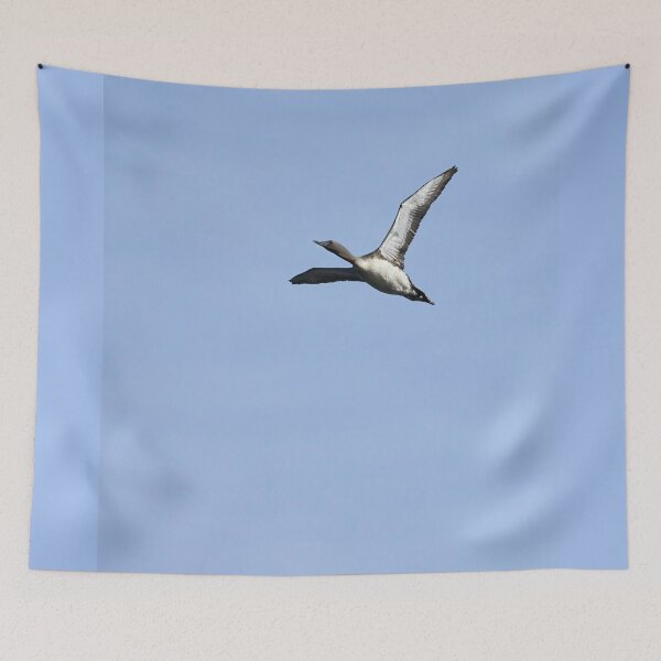 Item preview, Red-throated loon high designed and sold by Jouko Lehto Photography.