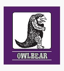 Owlbear : Inspired by Dungeons & Dragons Photographic Print