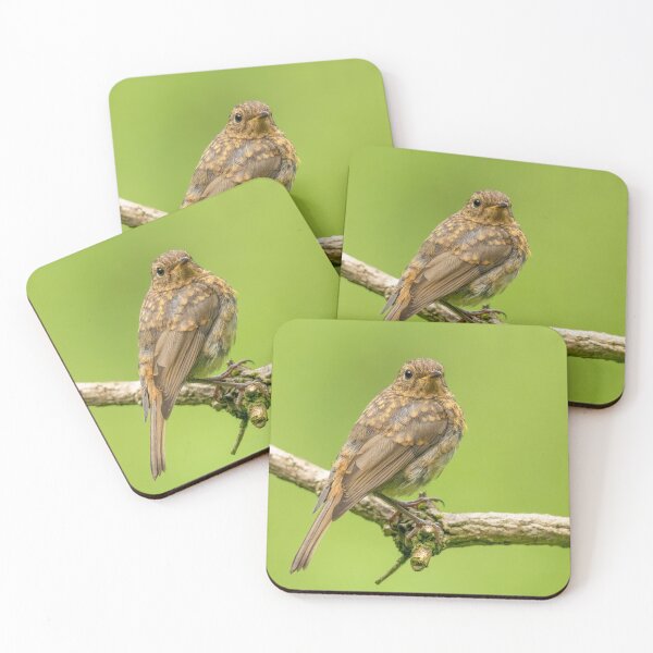 Item preview, Juvenile Robin Red Breast designed and sold by JLP ARTWORKS.