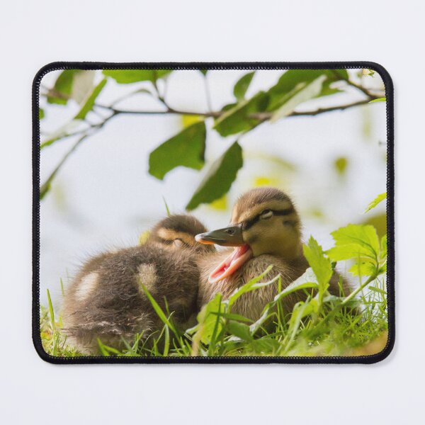 Item preview, Yawning designed and sold by Dominika Aniola.