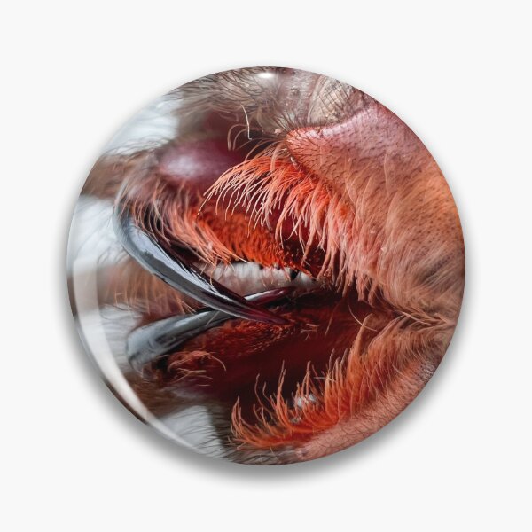 Item preview, Tarantula Fangs designed and sold by CyriocosmusE.