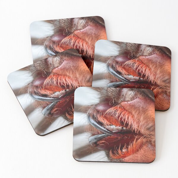 Item preview, Tarantula Fangs designed and sold by CyriocosmusE.