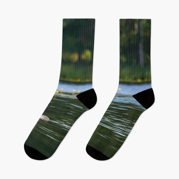 Item preview, Red-throated loon and green mirroring waters designed and sold by Jouko Lehto Photography.