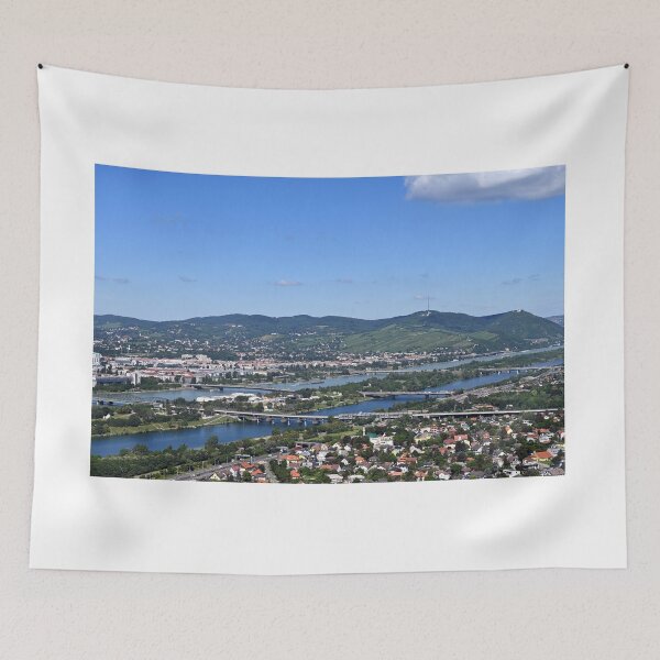 Item preview, bridges over the Danube Vienna cityscape designed and sold by goceris.