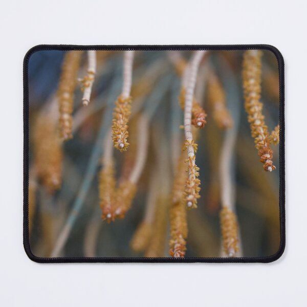 Item preview, alicasurina designed and sold by Jennene Cathcart.