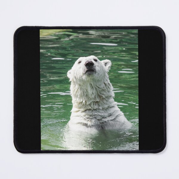 Item preview, Polar Bear Cooling Graphic designed and sold by Welve36tea.