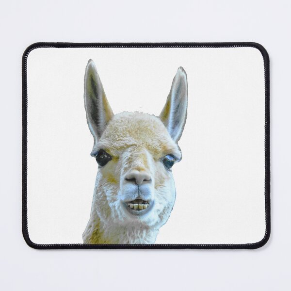 Item preview, Beautiful Face of a Vicuna designed and sold by Dalyndigital Photography.