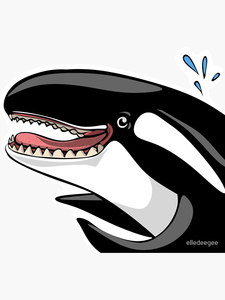 Happy Orca by elledeegee